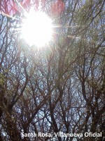 /album/fotogaleria/img703-jpg/